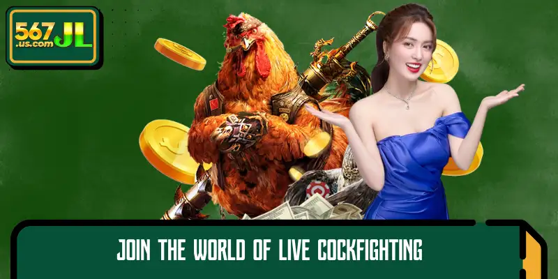 The cockfighting lobby was voted the most favorite place of the year